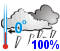 Freezing rain (100%)